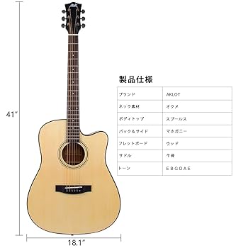 アコースティックギター&本 41SNubtAn+L.jpg